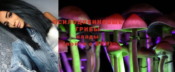 ALPHA PVP Михайловск