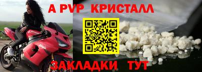 эйфоретик Берёзовский