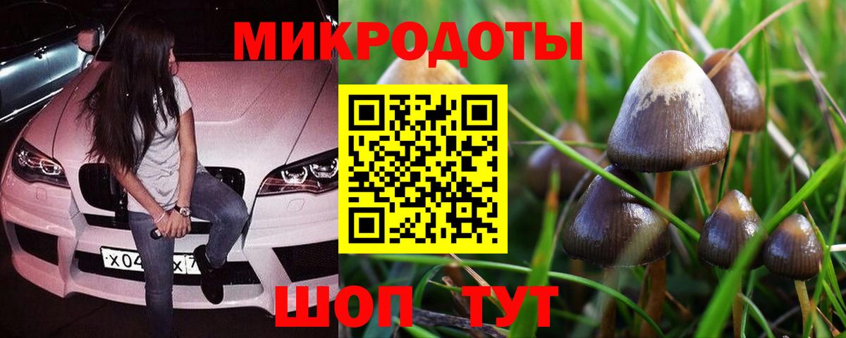 Псилоцибиновые грибы прущие грибы  Псилоцибиновые грибы Psilocybe  Вход с VPN  Кыштым 