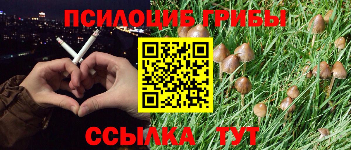 Псилоцибиновые грибы мицелий Кыштым