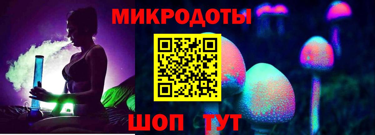 Псилоцибиновые грибы Cubensis Кыштым